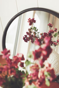 Close-up of flower pot