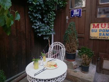 Potted plant on table