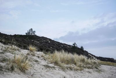 Scenic view of arid landscape against sky