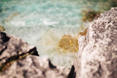 Close-up of rocks on shore