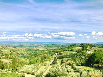 Scenic view of agricultural field against sky