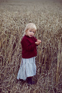 Girl in a red sweater stands on a field of wheat in the autumn