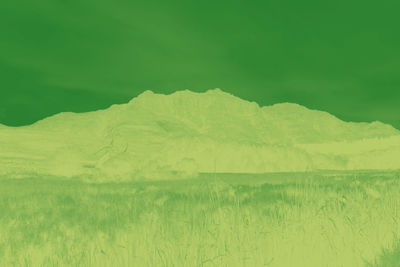 Scenic view of landscape