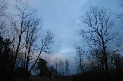 Low angle view of silhouette trees against sky