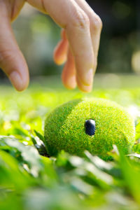 Close-up of human hand playing grass