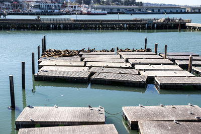 High angle view of pier on lake