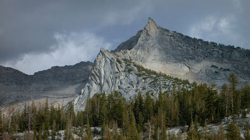Low angle view of panoramic shot of trees against cloudy sky