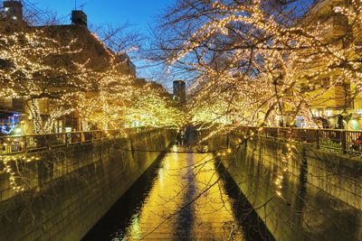 Illuminated city by trees against sky