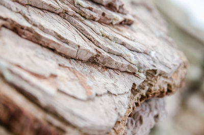 Close-up of rope tied up