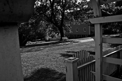 Trees in park