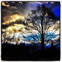 Silhouette of bare tree against cloudy sky