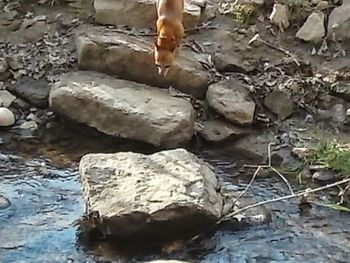 Water flowing in mud