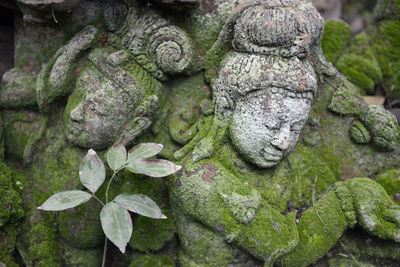 Close-up of moss on sculptures