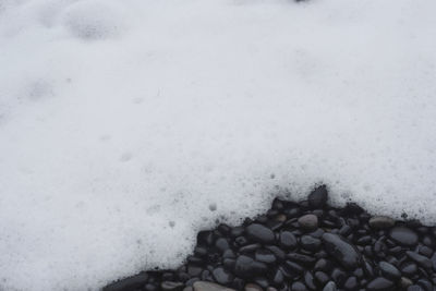 Close-up of snow covered land