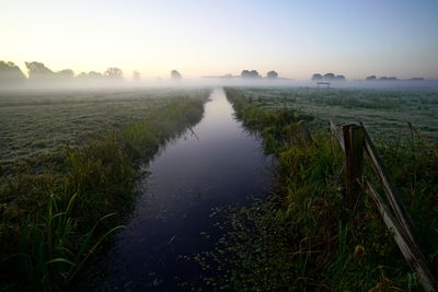 Scenic view of field against sky during foggy weather