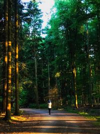 Woman walking on road in forest