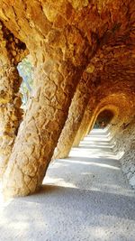 Close-up of cave