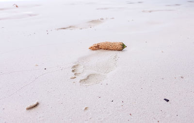 High angle view of stones on beach