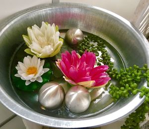 High angle view of flowers in bowl