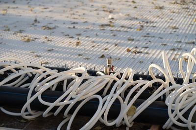 Urban ice rink piping system. preparation of icy surface for winter activity, outdoor hockey