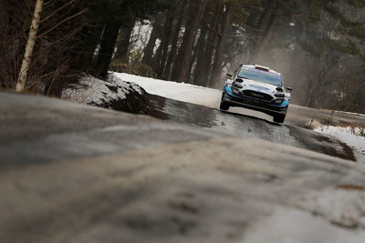 Surface level of car on road in forest