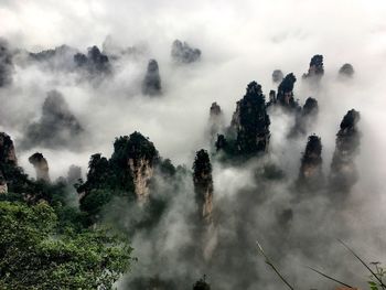 High angle view of trees on land against sky