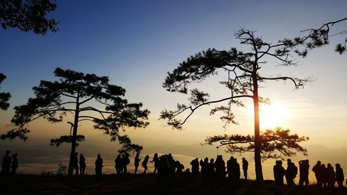 Silhouette people by tree against sky during sunset