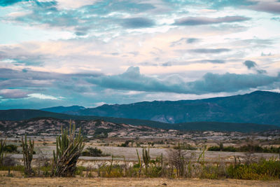 Scenic view of landscape against sky