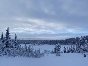 Snow covered land and trees against sky during winter