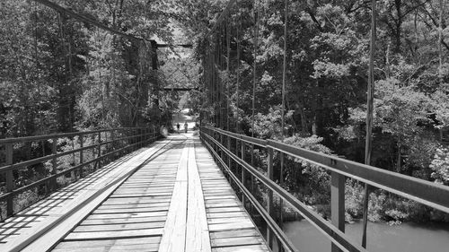 High angle view of footbridge amidst trees in forest