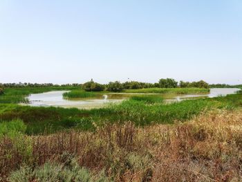 Scenic view of lake against clear sky