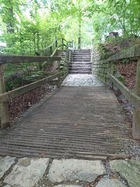 View of staircase in forest