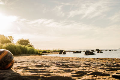 Scenic view of beach against sky