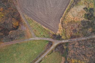 Drone photography of the forest and rural paths during the autumn season.