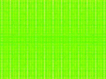 Full frame shot of palm leaf