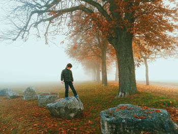 Boy standing on rock in foggy weather at park