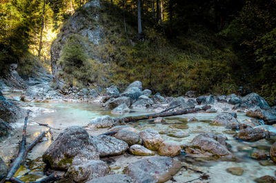 Stream flowing through rocks in forest