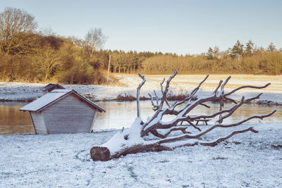 winter