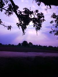 Silhouette trees on field against sky at sunset