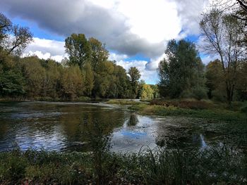 Scenic view of river in forest against sky