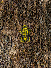 High angle view of yellow sign on field