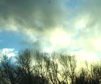 Low angle view of bare trees against sky