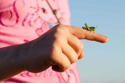 Midsection of girl holding insect on finger against sky