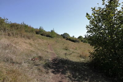 Scenic view of field against clear sky