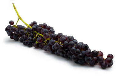 Close-up of grapes against white background