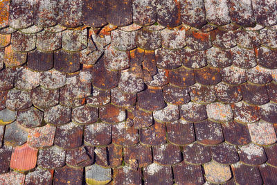 Romanian old roof tiles texture with lichens due to humid climate