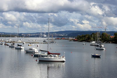 Sailboats moored in harbor