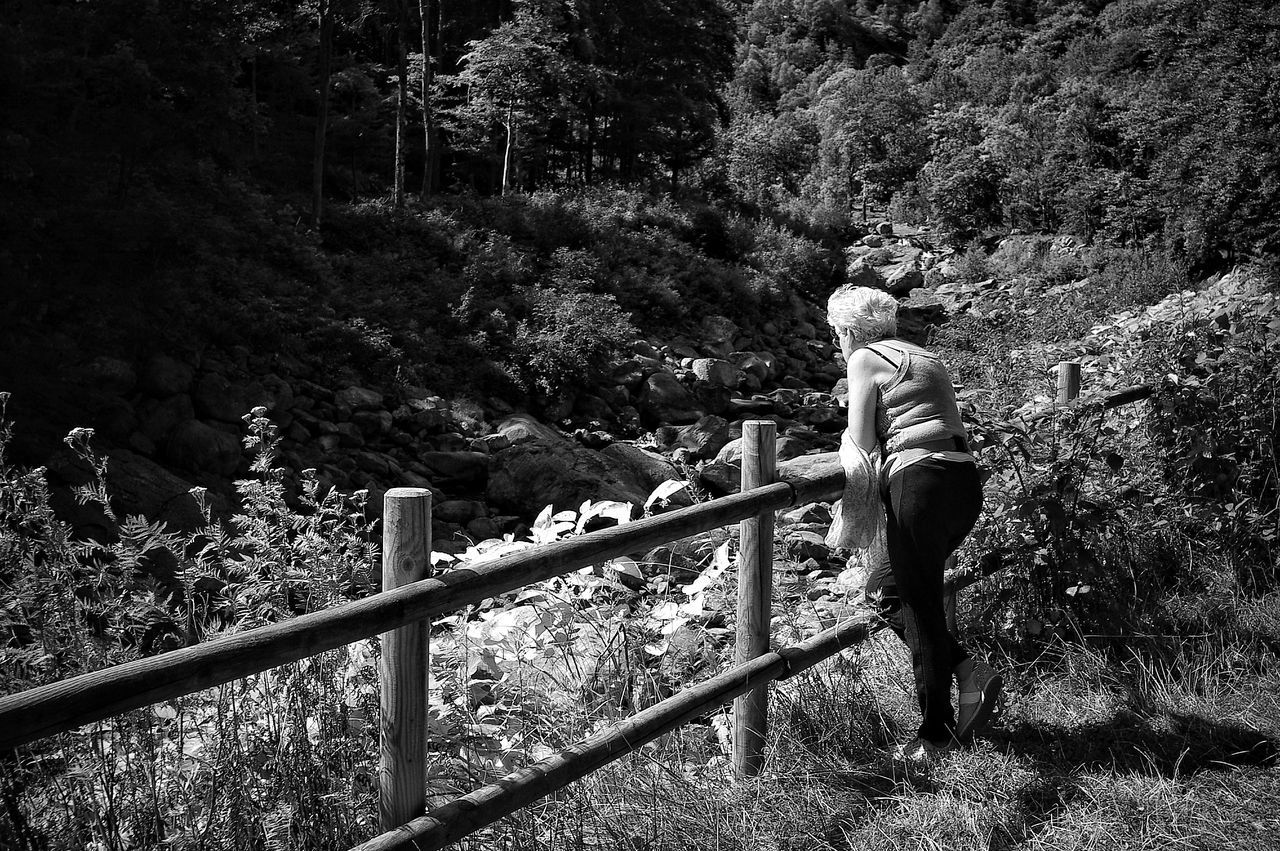 real people, full length, railing, one person, tree, leisure activity, walking, casual clothing, rear view, nature, day, outdoors, lifestyles, plant, standing, growth, footbridge, women, climbing, beauty in nature, young adult, young women, mammal, people