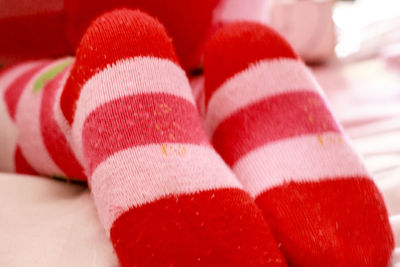 Close-up of red rose