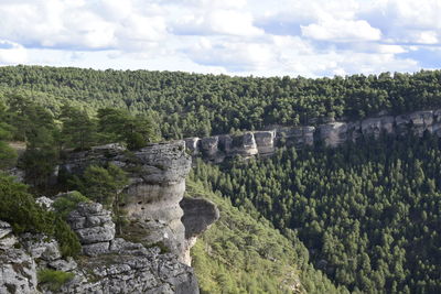 High angle view of trees and plants against sky
